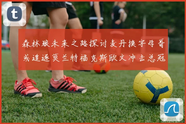 森林狼未来之路探讨麦丹换字母哥或追逐莫兰特福克斯欧文冲击总冠军