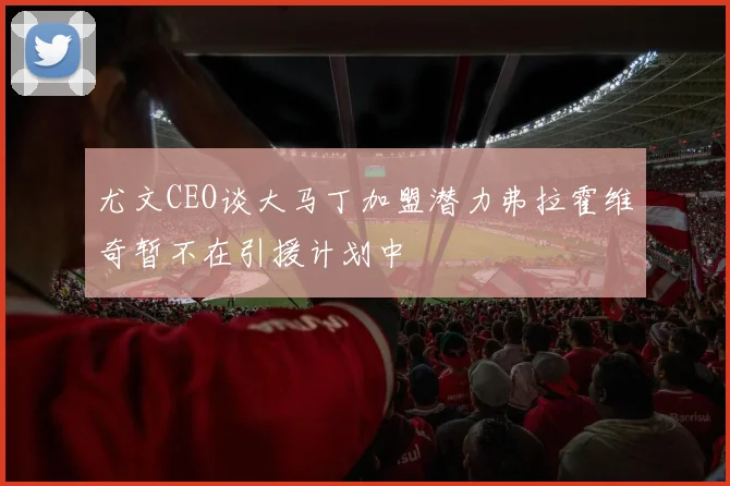 尤文CEO谈大马丁加盟潜力弗拉霍维奇暂不在引援计划中